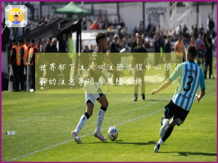 世界杯下注入口注册流程中必须了解的注意事项与风险分析