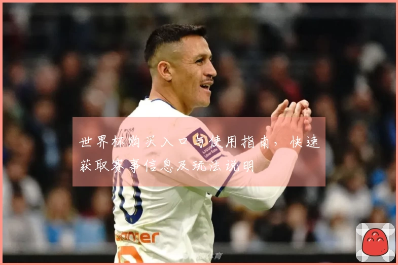世界杯购买入口与使用指南，快速获取赛事信息及玩法说明