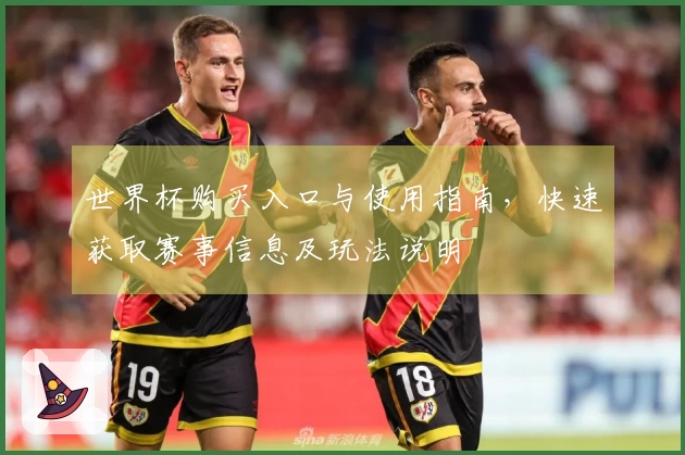 世界杯购买入口与使用指南，快速获取赛事信息及玩法说明