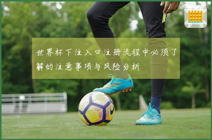 世界杯下注入口注册流程中必须了解的注意事项与风险分析