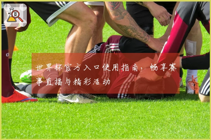 世界杯官方入口使用指南，畅享赛事直播与精彩活动