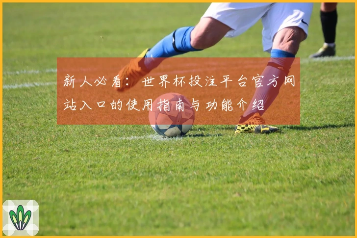 新人必看：世界杯投注平台官方网站入口的使用指南与功能介绍