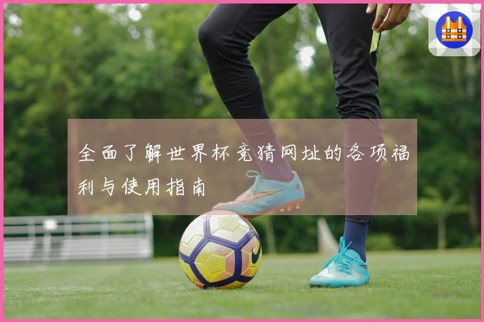 全面了解世界杯竞猜网址的各项福利与使用指南