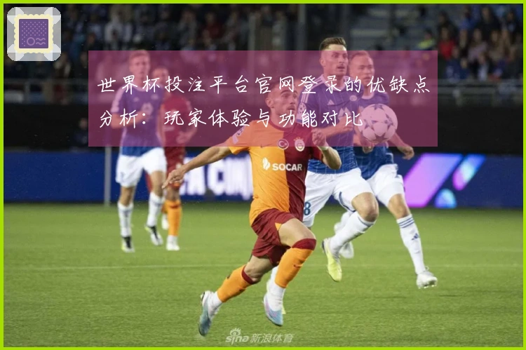 世界杯投注平台官网登录的优缺点分析：玩家体验与功能对比