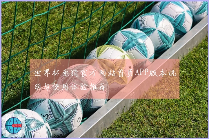 世界杯竞猜官方网站首页APP版本说明与使用体验推荐