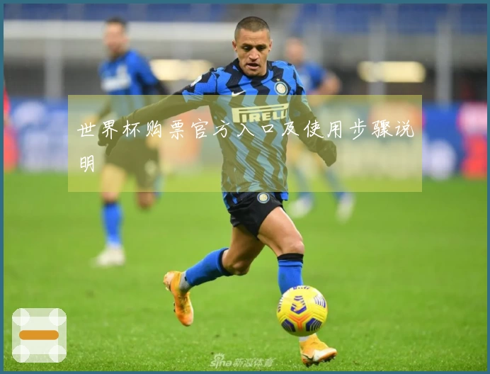 世界杯购票官方入口及使用步骤说明