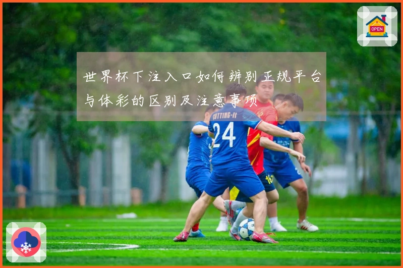 世界杯下注入口如何辨别正规平台与体彩的区别及注意事项