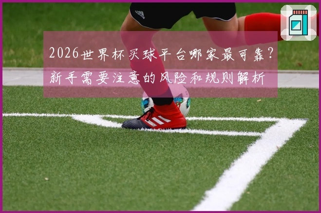 2026世界杯买球平台哪家最可靠？新手需要注意的风险和规则解析