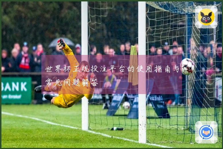 世界杯正规投注平台的使用指南与常见问题解答
