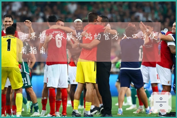 世界杯买球服务站的官方入口与使用指南