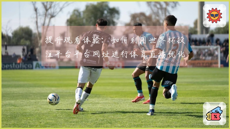 提升观看体验：如何利用世界杯投注平台平台网址进行体育直播优化