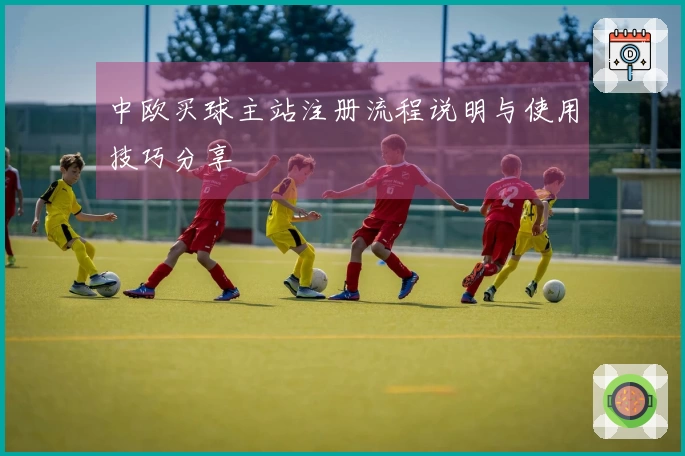 中欧买球主站注册流程说明与使用技巧分享