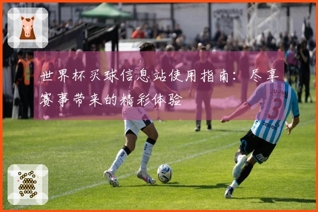 世界杯买球信息站使用指南：尽享赛事带来的精彩体验