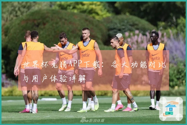 世界杯竞猜APP下载：各大功能对比与用户体验详解