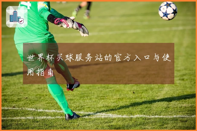 世界杯买球服务站的官方入口与使用指南
