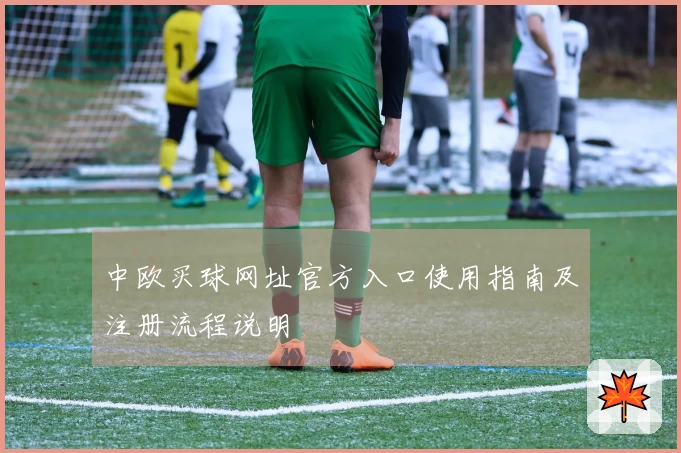 中欧买球网址官方入口使用指南及注册流程说明
