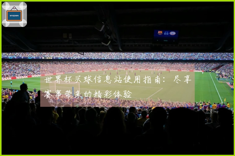 世界杯买球信息站使用指南：尽享赛事带来的精彩体验